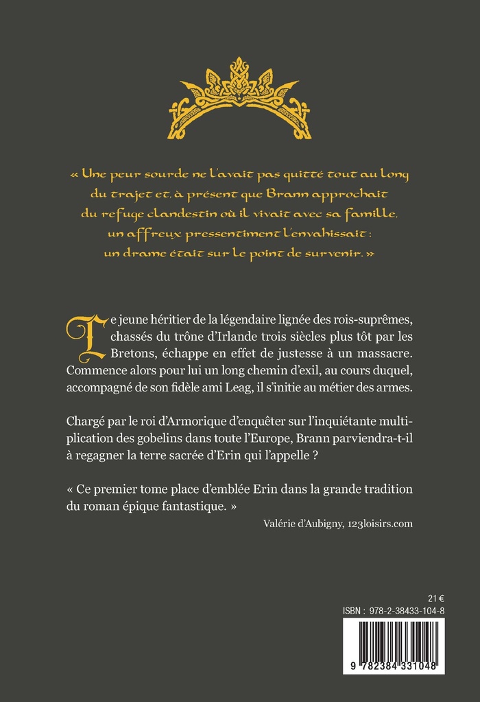 Le Royaume Perdu d'Erin - Tome 1 - Le Mercenaire